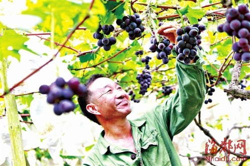 ũ֣·鿴ѳƣǱ¶һ˿΢ЦDDһ