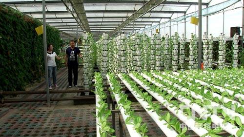 致富经:步步惊心 弓霄鹏赚钱有计划(图:5)