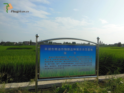 �㽭ƽ����������Ʒ��չʾ������Ʒ�ֳ�������