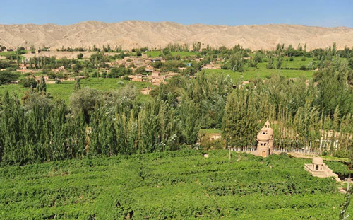 吐鲁番火焰山下的葡萄园