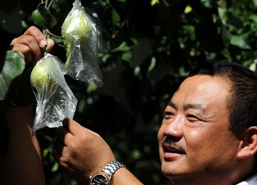 829գӱȷйַũڲժ״״Ѽ