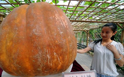 829գںӱʡȷй¼ڣοڲι۾ش506ľϹ