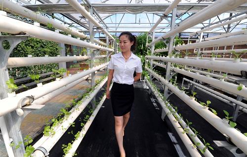 829գںӱʡȷй¼ڣοڲιùܵʽˮ߲˼ֲ۲