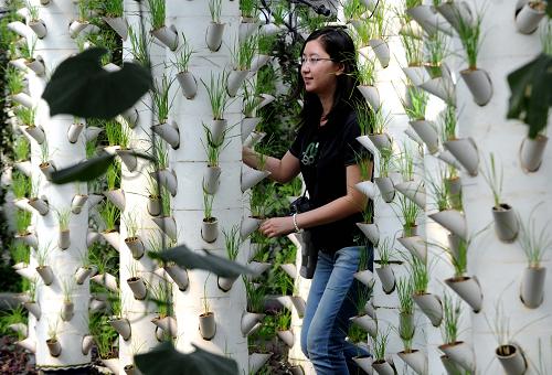 829գںӱʡȷй¼ڣοڲιʽģʽľ²ˡģʽɴĭ϶ɣŲԼֲ