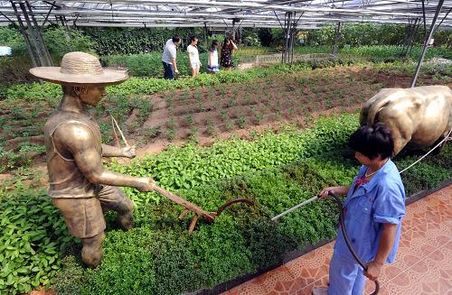 829գοڲιۺӱʡȷйũĻ