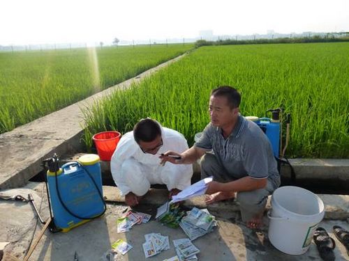 ͼΪũҵֲֲվֲԱ俪չҵ