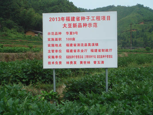 福建清流县:大豆新品种示范片丰收在望