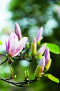 ���ĸ������ֲ����������ҡ� �Ϸ����������ڿ���