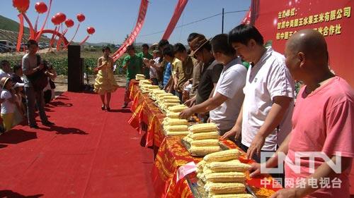 甘肃榆中县:追着儿时梦想找商机的玉米哥(图:1)