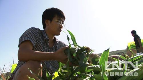 甘肃榆中县:追着儿时梦想找商机的玉米哥(图:2)