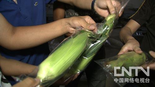 甘肃榆中县:追着儿时梦想找商机的玉米哥(图:4)