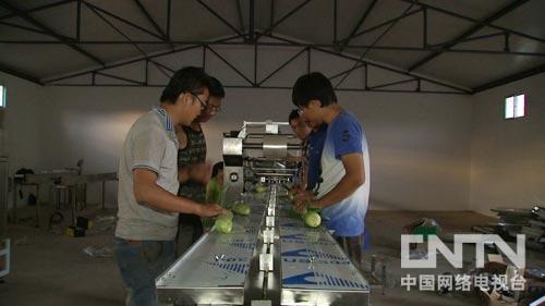 甘肃榆中县:追着儿时梦想找商机的玉米哥(图:5)