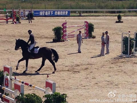 晴天日晒考验马术赛场