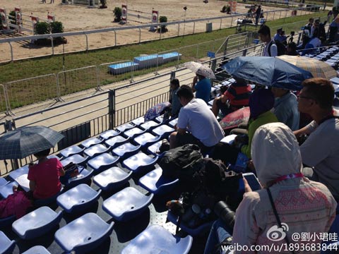 晴天日晒考验马术赛场