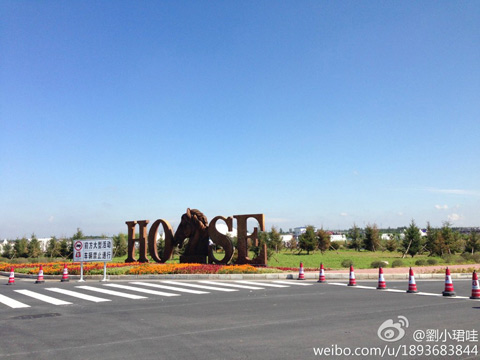 晴天日晒考验马术赛场