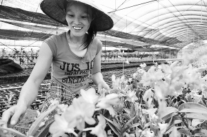 ������ָɽ��ũ�����š��ء��־� ̤���¸�·