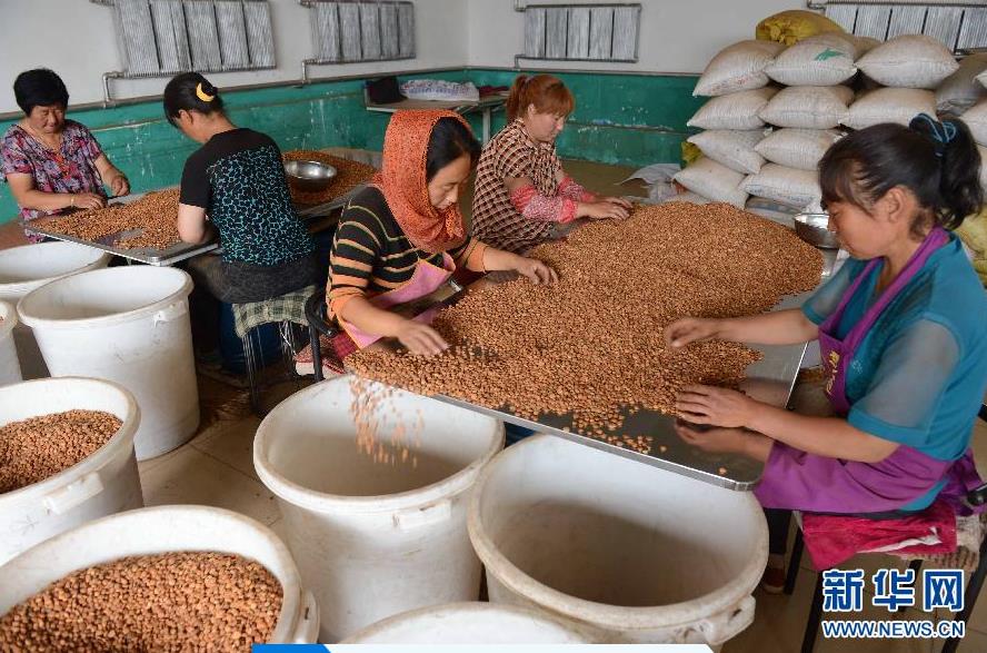 719գںӱƽȪһɽʼӹҵڷѡɽ