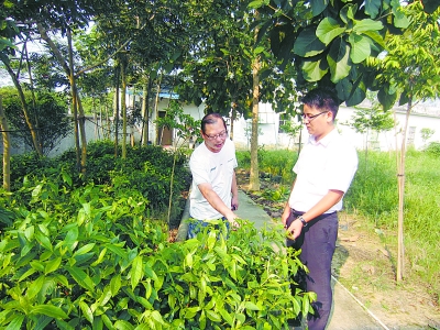 Ƽۣ׽Ʈ㡱̻ ģʽ¸