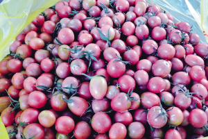 �����⽭�ڲ�����԰��Ʒ��׷��