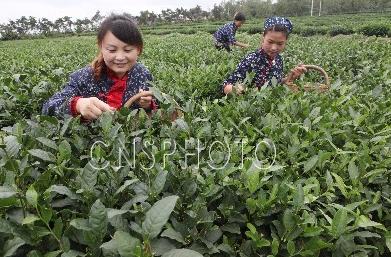 ���ո���������� �ٽ�ɽ��ũ�������¸�