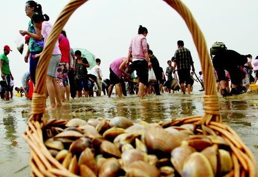 ɽ���ĵ�ũ��ƷԾ�ϡ����ֺš�չ̨