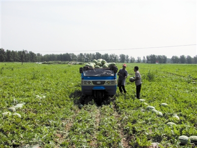 ���ɹ�ͨ�ɣ�Ĥ������ �����¾�