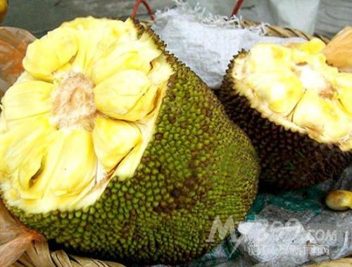 �������������������������ۡ����ϡ� ֲ���������ڼ�Ӧ����