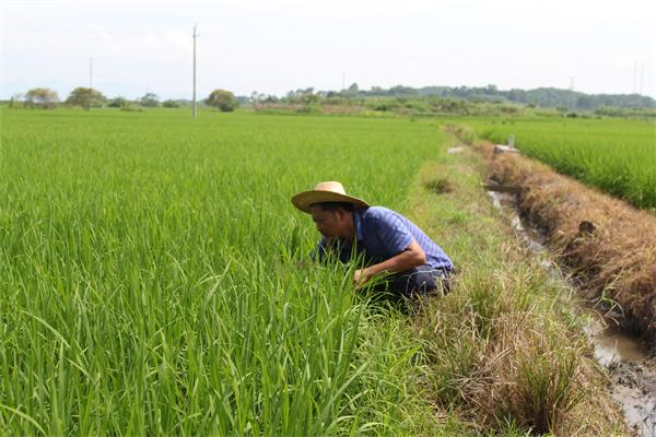 ��������и�������ũ����Աһ����Ϊũ����