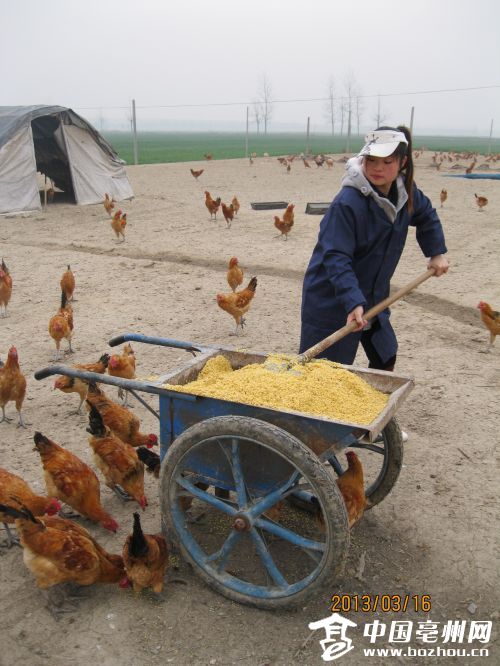 安徽蒙城:青春在“二郎村”炫彩(图:2)