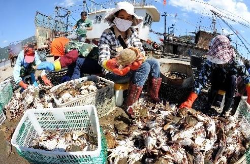 �������Ƹۺ���ӭ������з�����