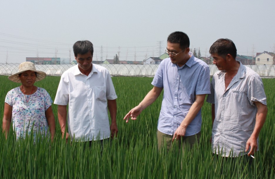 结合晚稻生产环节 浙江绍兴县开展种植能手培训