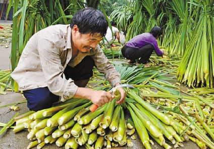 �㽭������ˮ���׷������