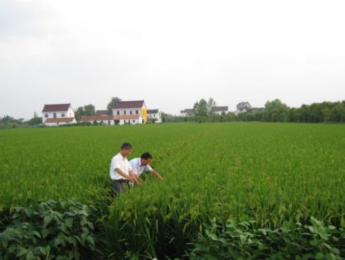 �����綫������վ��������䷽ʩ����Ŀʵʩ���