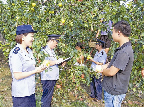 晋州市工商人员对农户进行指导
