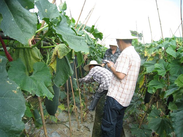 EMʼͨںƤӦñȽݲⶨ