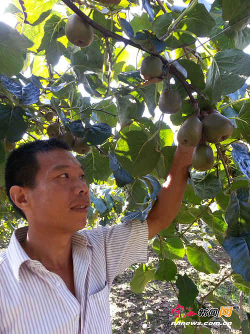 浙江宁海县:一颗“诚心”育成千万“金果子”