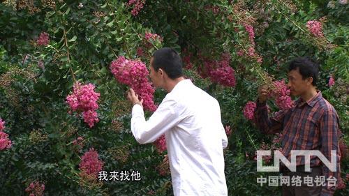 �¸�������ɽ���������׮���ҡǮ����ͼ5��