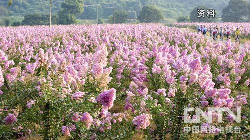 �¸�������ɽ���������׮���ҡǮ����ͼ6��