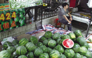 江苏南京鼓楼区:西瓜价格小幅上涨,卖得远不如立秋前