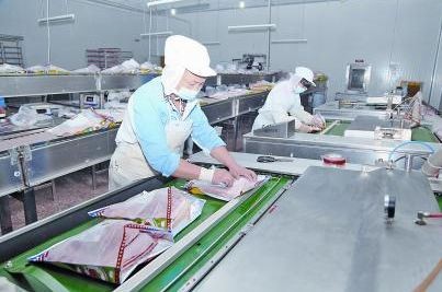 ������Ԫ�������Ʒ����Ӧ��