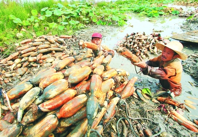 ���գ���ź������