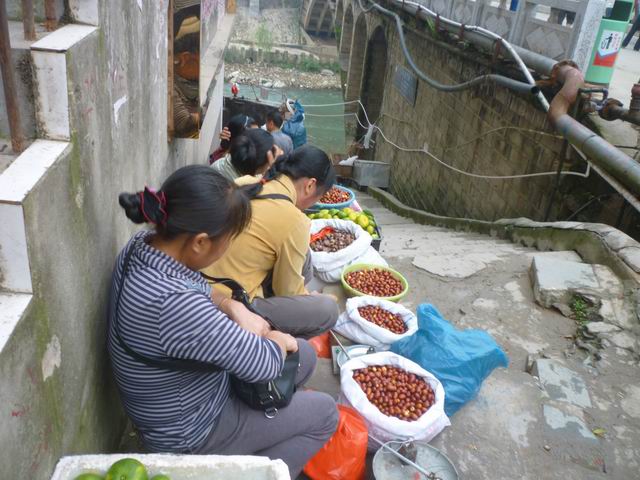 ������ʤ���ţ����������