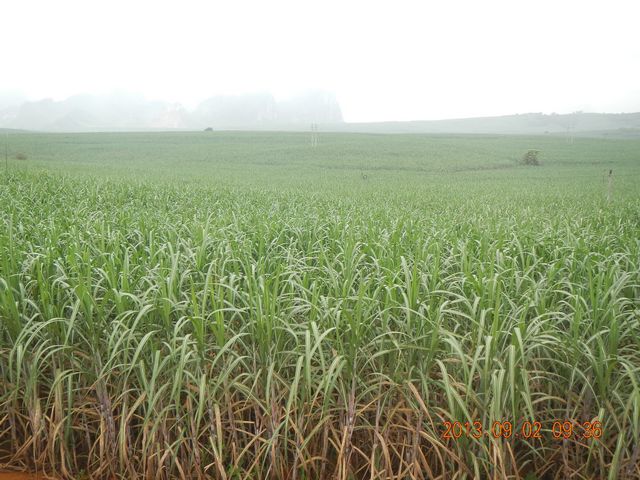 ͼΪ�������º���ͨ������ô�͸��᳤��