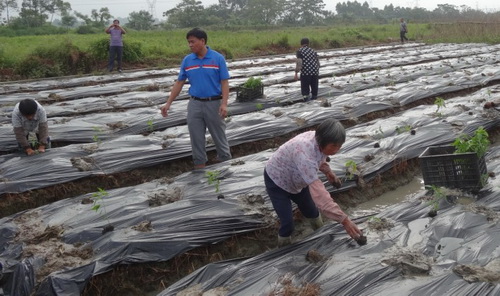 ���������߲���������վ�������߲˻���ָ��