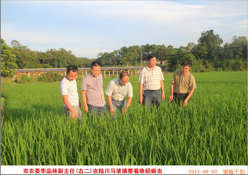 ����������ũί��½���ز쿴�������淢�������