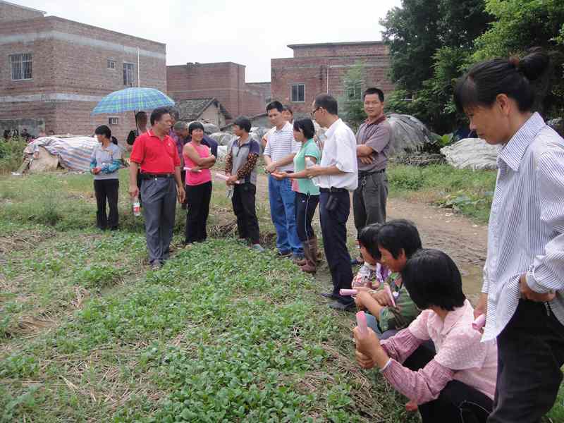 ������۸۱������������á��Ƽ�����