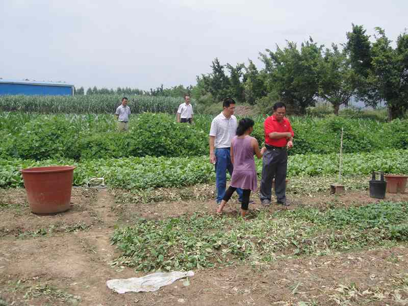 ������۸۱������������á��͡��Ƽ�Ӫ���͡�