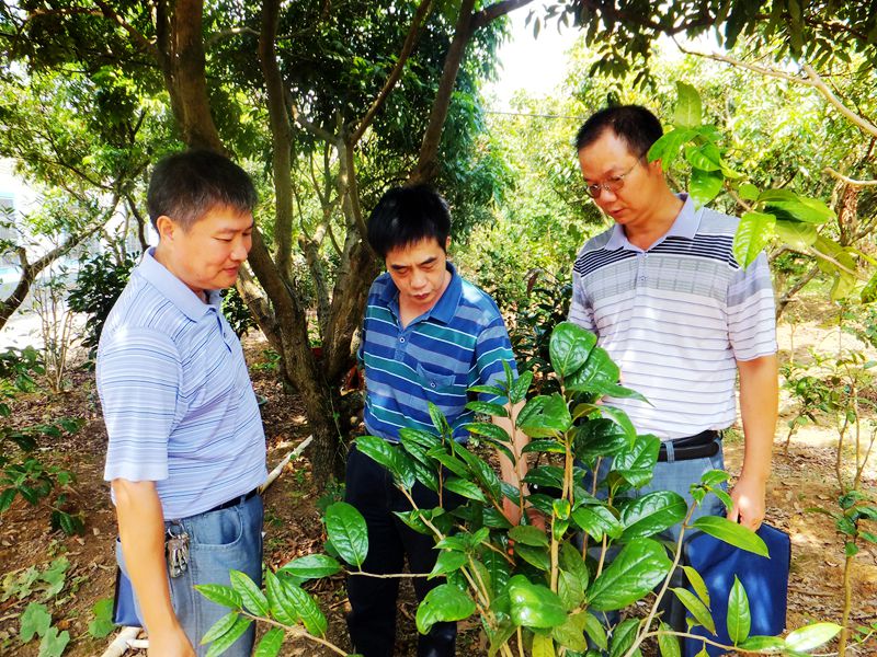 ������۸۱��������걨ũҵ��ҵ����ͷ��ҵ