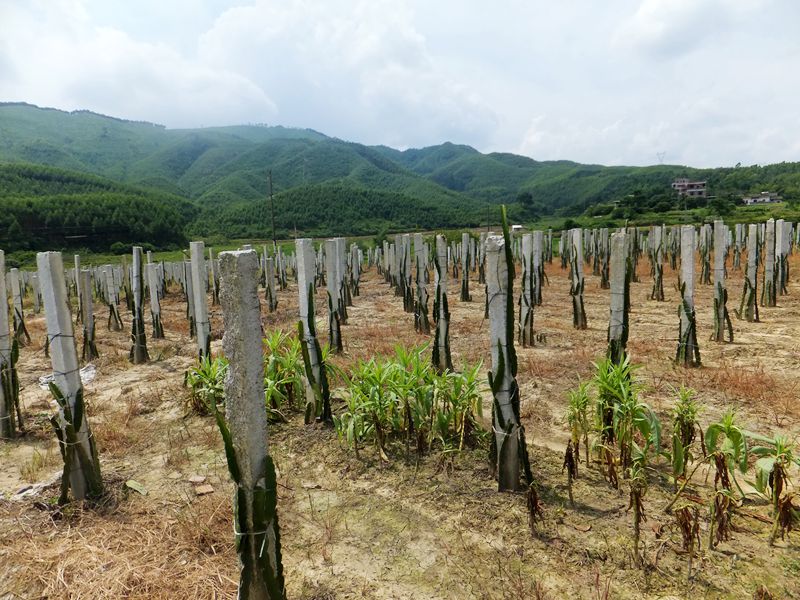 ������ۣ������������ڸ۱����仧