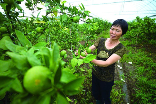 �㽭����Ӣ�˺����硰�����ˡ����ٷ�������